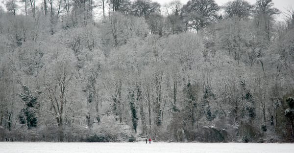 The Great AI Winter of 2026/2027